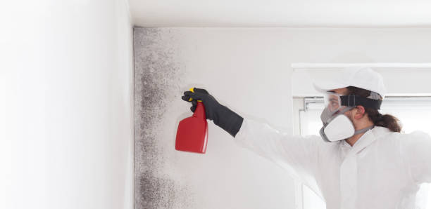 Best Mold Testing  in Oak Trail Shores, TX